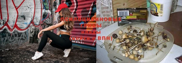 стафф Абдулино
