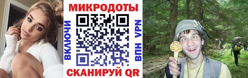 цены наркотик  Дубовка  Псилоцибиновые грибы прущие грибы 